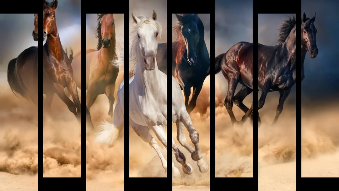 Wild Horses Stampede – 8 Panels Up & Down