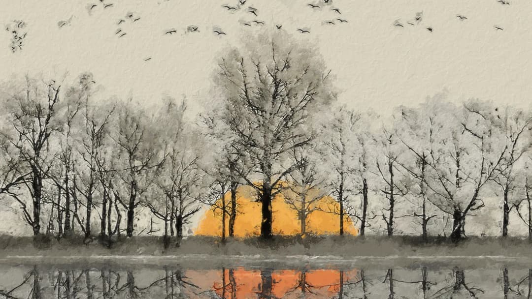 Winter Birds Sunset Reflection