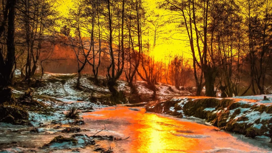 Winter Forest Snowy Stream